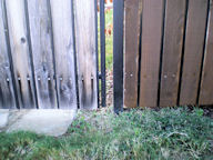 Improve your fence - Keller Fence Painting